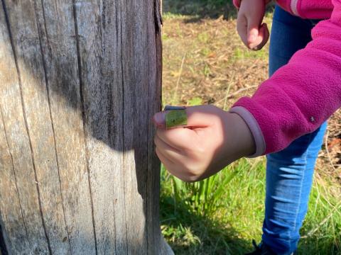 Hand, Holz